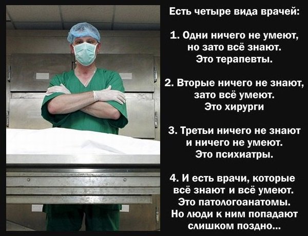 Четыре вида врачей